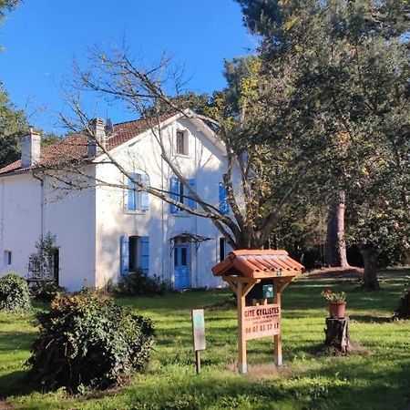 Gites-Cyclistes-Léon Exterior foto